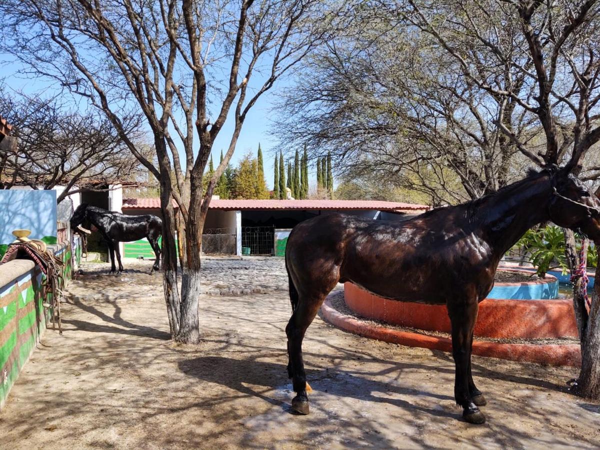 Rancho Labradores Atotonilco  Εξωτερικό φωτογραφία