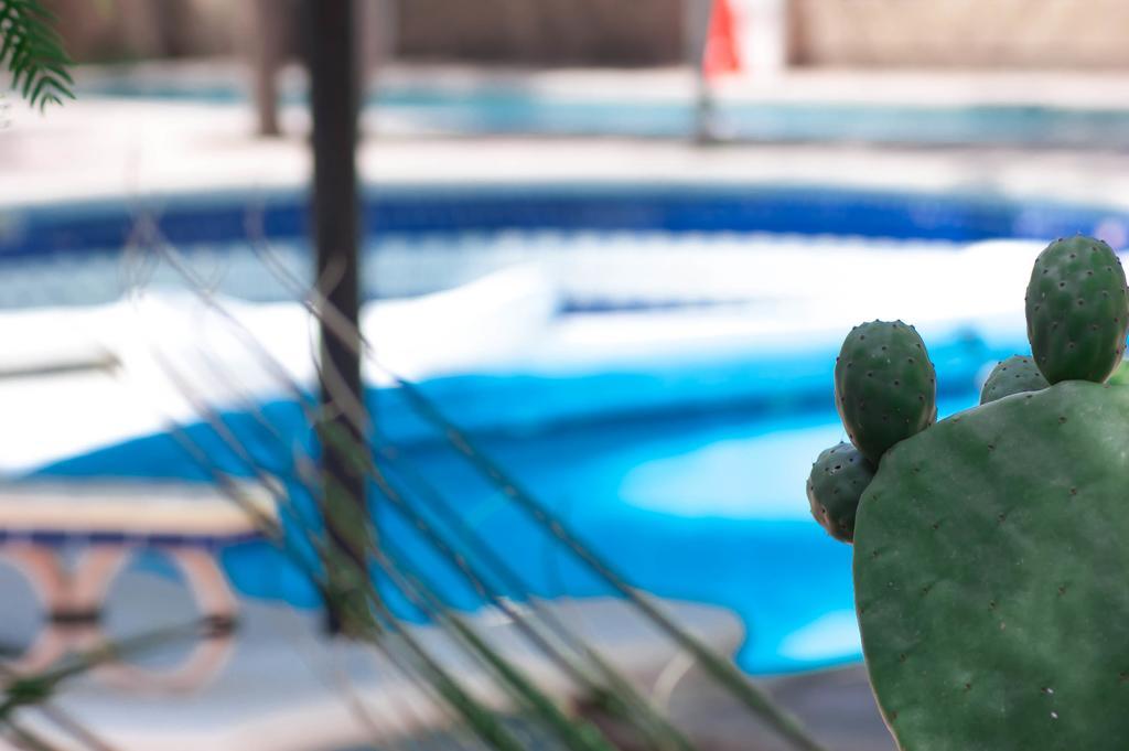 Rancho Labradores Atotonilco  Εξωτερικό φωτογραφία
